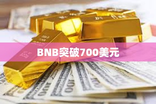 BNB突破700美元