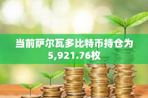 当前萨尔瓦多比特币持仓为5,921.76枚