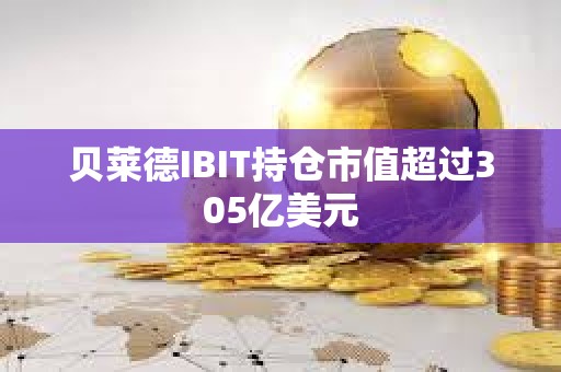 贝莱德IBIT持仓市值超过305亿美元