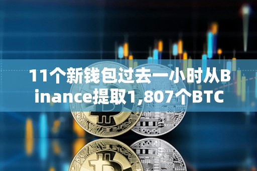 11个新钱包过去一小时从Binance提取1,807个BTC