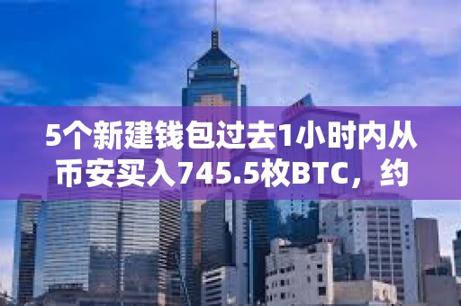 5个新建钱包过去1小时内从币安买入745.5枚BTC，约合5900万美元