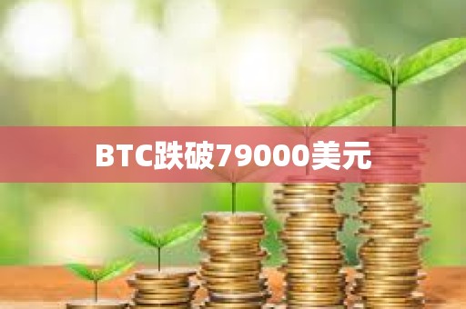 BTC跌破79000美元