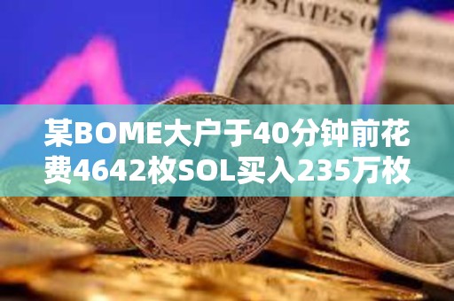 某BOME大户于40分钟前花费4642枚SOL买入235万枚SLERF