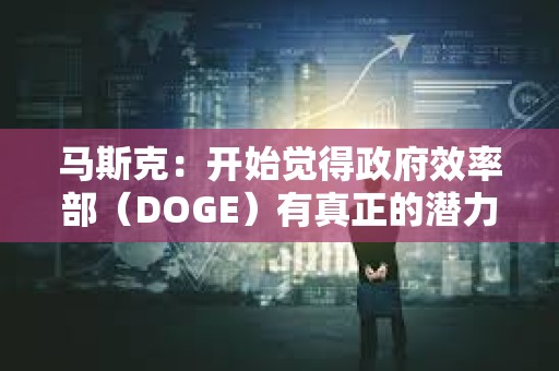 马斯克：开始觉得政府效率部（DOGE）有真正的潜力