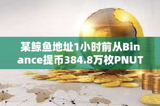 某鲸鱼地址1小时前从Binance提币384.8万枚PNUT