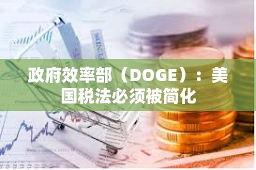 政府效率部（DOGE）：美国税法必须被简化