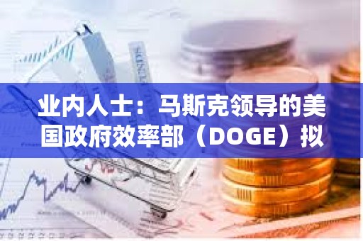 业内人士：马斯克领导的美国政府效率部（DOGE）拟探索建设区块链选举系统“eVote”