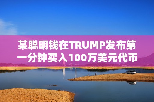 某聪明钱在TRUMP发布第一分钟买入100万美元代币，已浮盈1.16亿美元