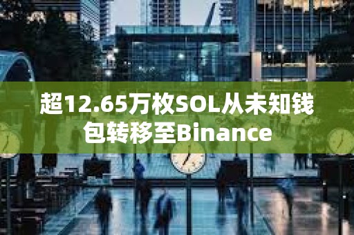 超12.65万枚SOL从未知钱包转移至Binance