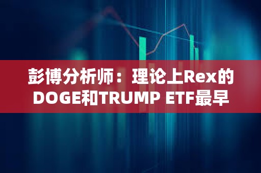 彭博分析师：理论上Rex的DOGE和TRUMP ETF最早可于4月初上市