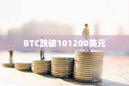 BTC跌破101200美元