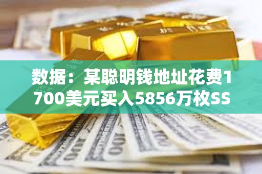 数据：某聪明钱地址花费1700美元买入5856万枚SSE，现浮盈242万美元