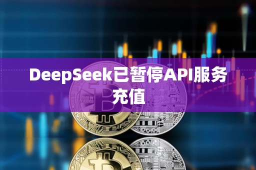 DeepSeek已暂停API服务充值