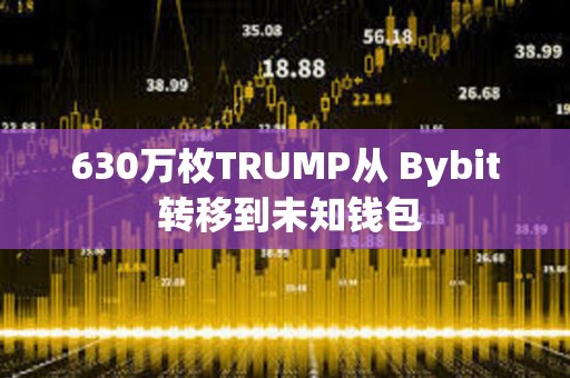 630万枚TRUMP从 Bybit 转移到未知钱包