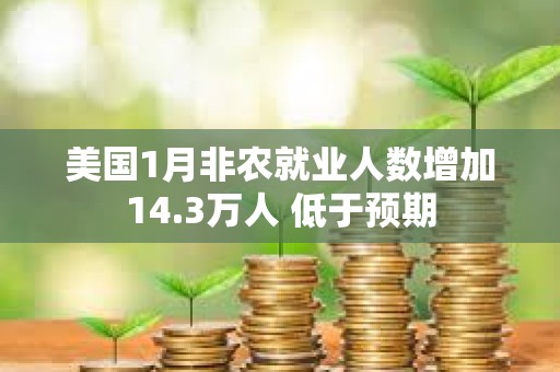 美国1月非农就业人数增加14.3万人 低于预期