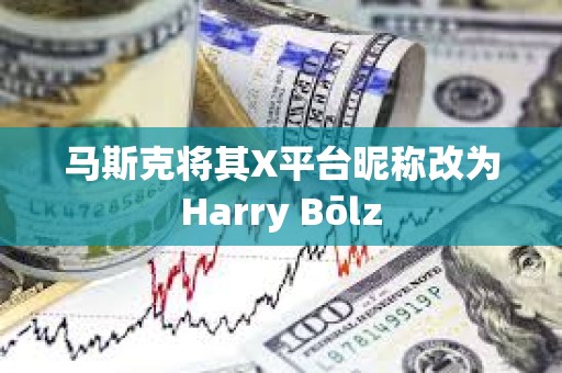 马斯克将其X平台昵称改为Harry Bōlz