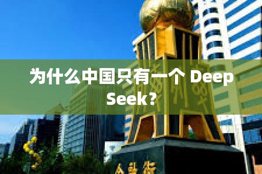 为什么中国只有一个 DeepSeek？