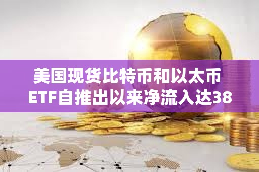 美国现货比特币和以太币 ETF自推出以来净流入达383亿美元