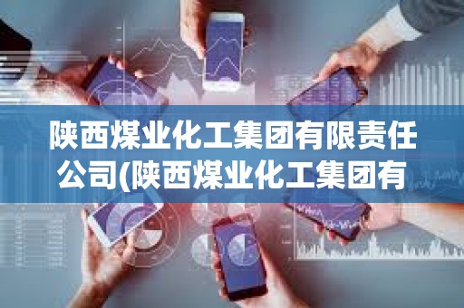 陕西煤业化工集团有限责任公司(陕西煤业化工集团有限责任公司董事长)