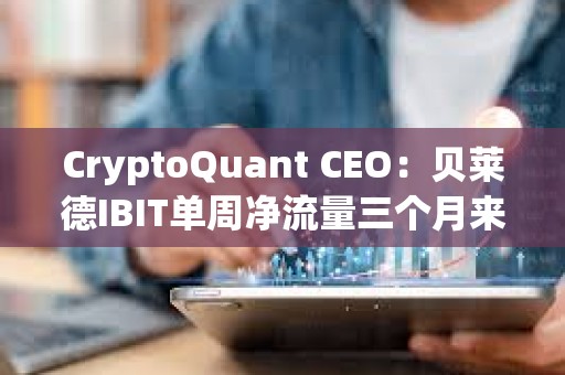 CryptoQuant CEO：贝莱德IBIT单周净流量三个月来首次出现负值