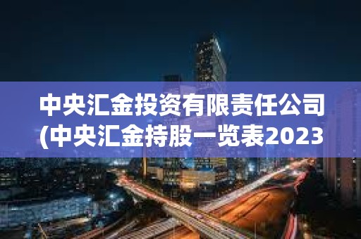 中央汇金投资有限责任公司(中央汇金持股一览表2023)