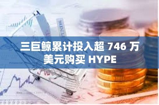 三巨鲸累计投入超 746 万美元购买 HYPE