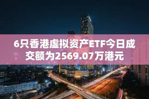 6只香港虚拟资产ETF今日成交额为2569.07万港元