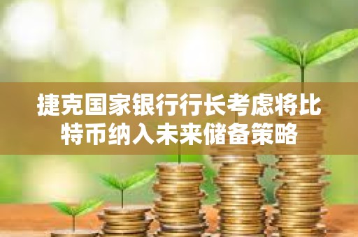 捷克国家银行行长考虑将比特币纳入未来储备策略