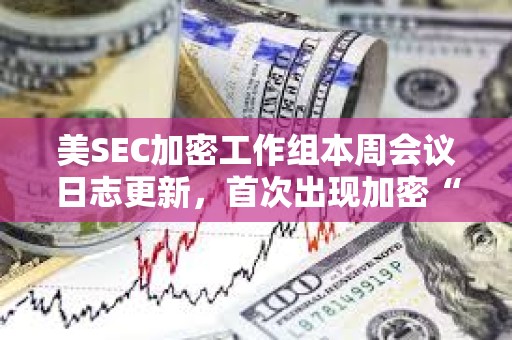 美SEC加密工作组本周会议日志更新，首次出现加密“批评者”参与