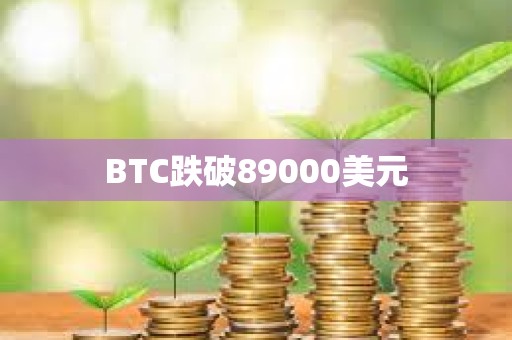 BTC跌破89000美元