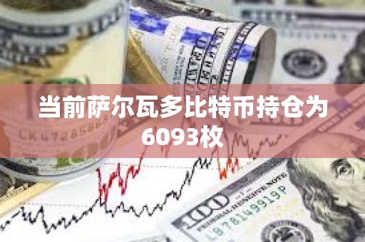 当前萨尔瓦多比特币持仓为6093枚