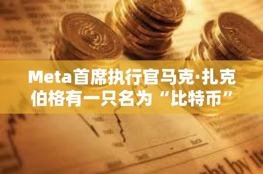 Meta首席执行官马克·扎克伯格有一只名为“比特币”的宠物山羊