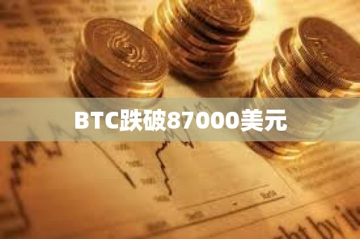 BTC跌破87000美元