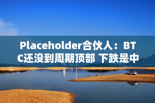 Placeholder合伙人：BTC还没到周期顶部 下跌是中期回调