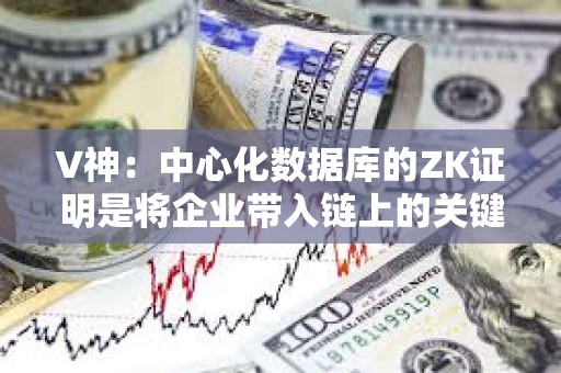 V神：中心化数据库的ZK证明是将企业带入链上的关键