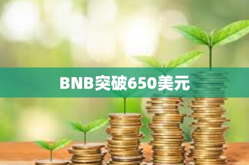 BNB突破650美元