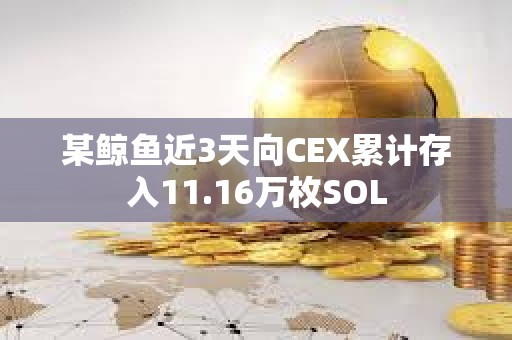 某鲸鱼近3天向CEX累计存入11.16万枚SOL