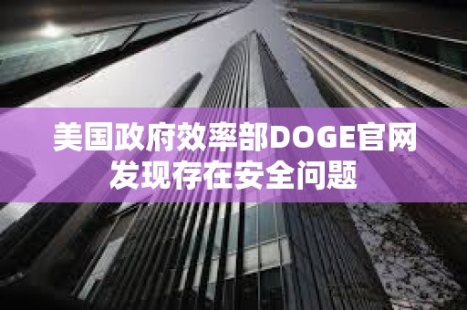 美国政府效率部DOGE官网发现存在安全问题