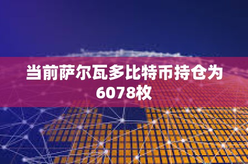 当前萨尔瓦多比特币持仓为6078枚