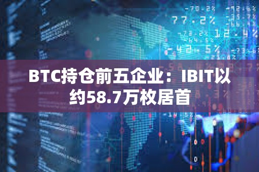 BTC持仓前五企业：IBIT以约58.7万枚居首