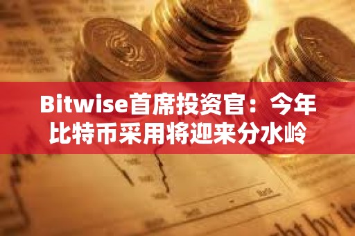 Bitwise首席投资官：今年比特币采用将迎来分水岭