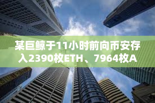 某巨鲸于11小时前向币安存入2390枚ETH、7964枚AAVE和2321枚COMP