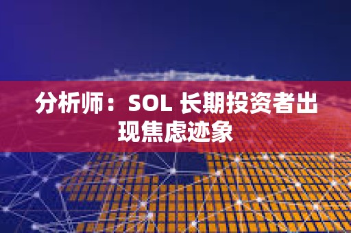 分析师：SOL 长期投资者出现焦虑迹象