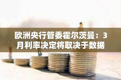 欧洲央行管委霍尔茨曼：3月利率决定将取决于数据