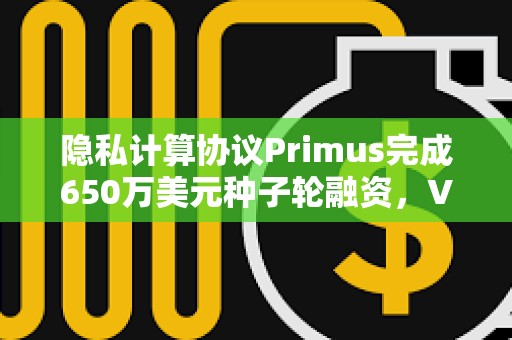 隐私计算协议Primus完成650万美元种子轮融资，VanEck等机构领投