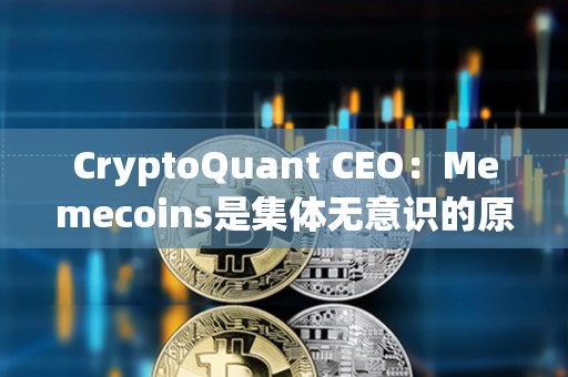 CryptoQuant CEO：Memecoins是集体无意识的原型