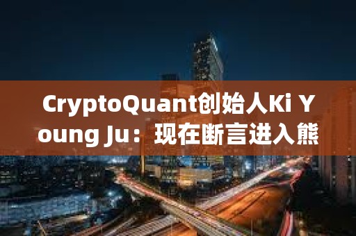 CryptoQuant创始人Ki Young Ju：现在断言进入熊市还为时尚早