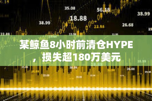 某鲸鱼8小时前清仓HYPE，损失超180万美元