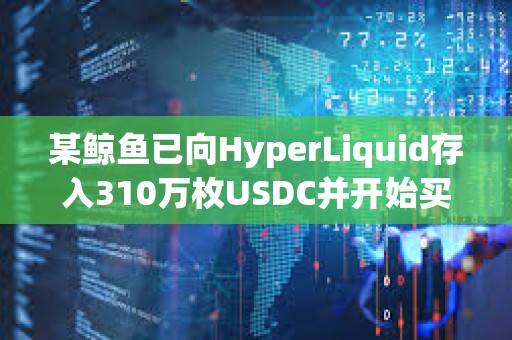 某鲸鱼已向HyperLiquid存入310万枚USDC并开始买入HYPE