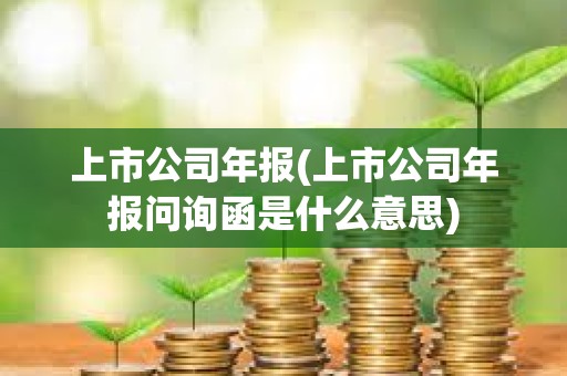 上市公司年报(上市公司年报问询函是什么意思)